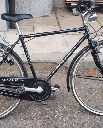Bicicletta city bike 