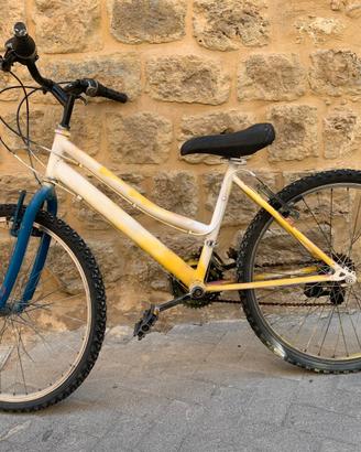 biciclette