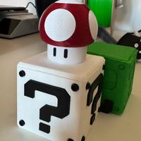 Portacartucce switch 1/2