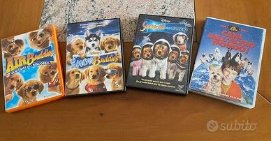 4 DVD Film a tema cagnolini