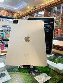 iPad Pro 11 4gene M2 512GB Wifi usato