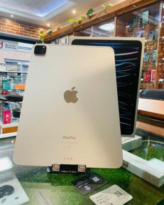 iPad Pro 11 4gene M2 512GB Wifi usato