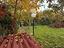 Immagine 25
