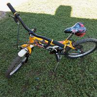 Mountain bike Loris