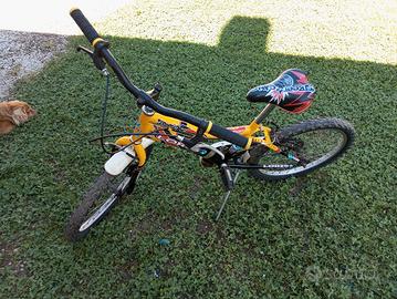 Mountain bike Loris