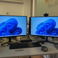 Due monitor AOC 24” IPS