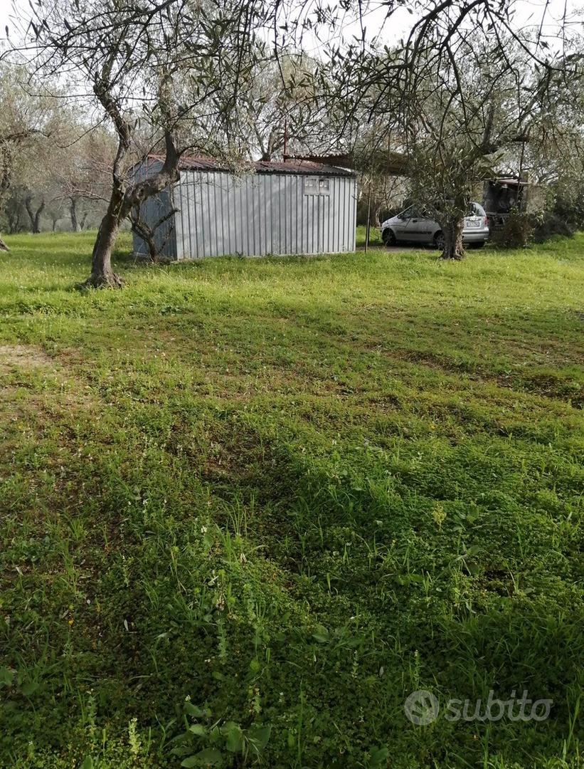 Uliveto - Vista 2