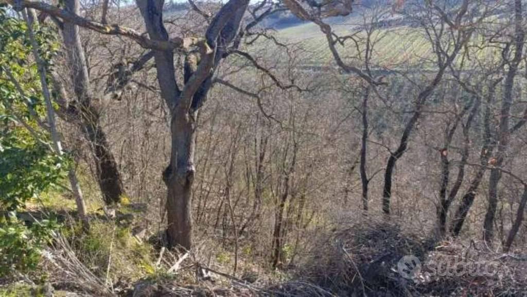 Immobile in asta di 31390 m² a Ripatransone - Vista 4