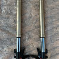 Forcelle sospensioni ducati 848 Streetfighter 1098