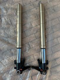 Forcelle sospensioni ducati 848 Streetfighter 1098