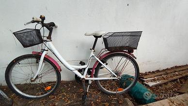 Bicicletta donna 26