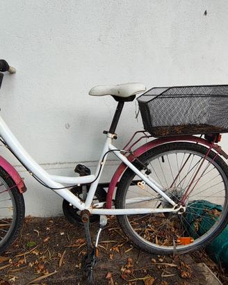 Bicicletta donna 26