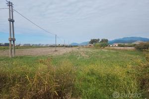 Terreni agricoli