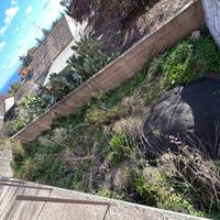 Appartamento - Zafferana Etnea