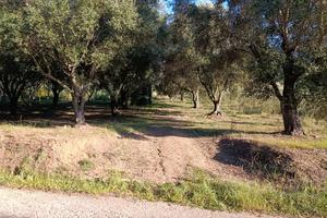 2 particelle di terreno nel Comune di Seminara