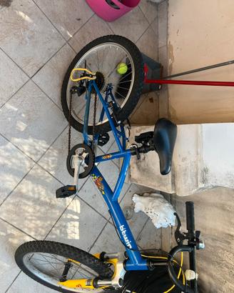 Bicicletta decathlon raggio 20