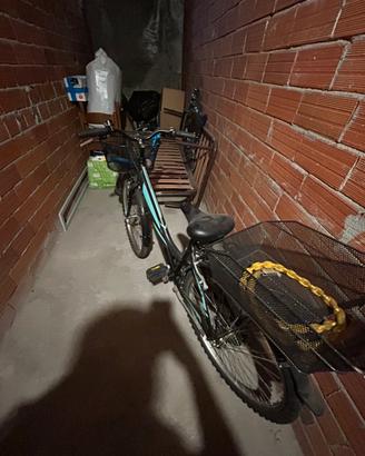 Bici da donn