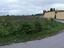 Immagine 12