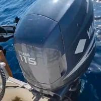 YAMAHA 115 4 Tempi Four Stroke XL BENZINA E GPL