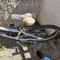 montan bike