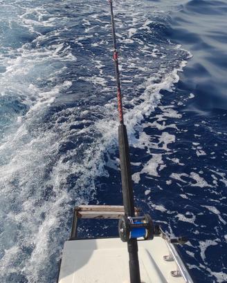 Combo da traina, canna trabucco e mulinello 