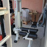 macchina addominali da palestra