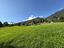 Immagine 7