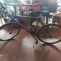 Mountain Bike 26 Shimano 