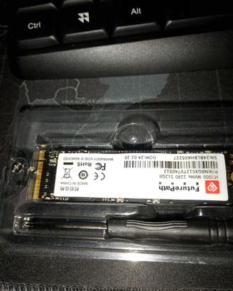 SSD NVMe FuturePath 512GB (Nuovo)