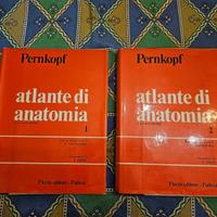 Pernkopf – Atlante di anatomia – 2 volumi