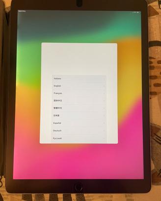iPad Pro 12,9” 256 GB Cellular + Apple Pencil