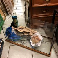 Vasca tartarughiera in vetro con accessori