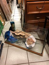 Vasca tartarughiera in vetro con accessori