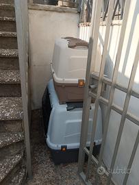 trasportino auto