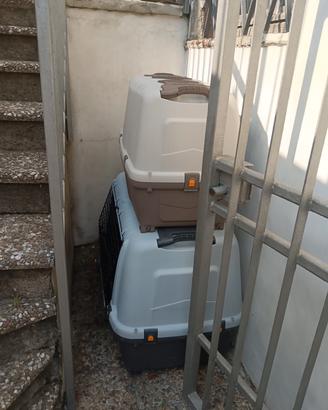 trasportino auto