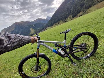 stumpjumper evo s4 telaio frame