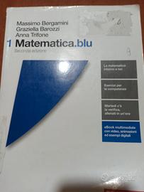 MATEMATICA. BLU 1