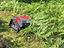 Immagine 26