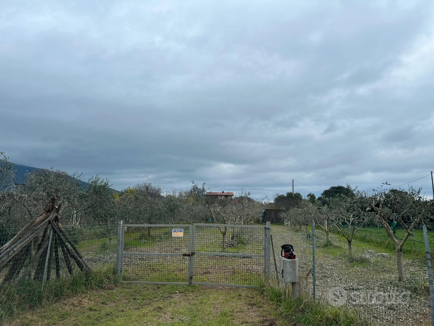 Terreno a Castiglione della Pescaia luce e acqua - Vista 3