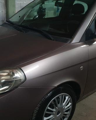 Lancia Ypsilon 1.4 Benzina/GPL 2010