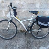 biciclettabici 