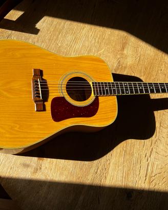 Chitarra acustica Washburn D11 N