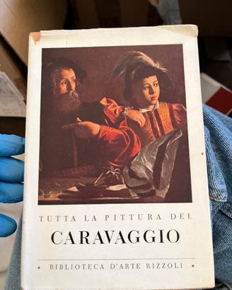 Tutta la pittura del Caravaggio