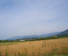 Terreno agricolo