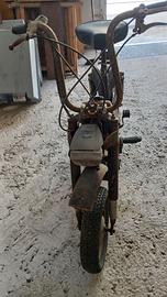 motorino benelli