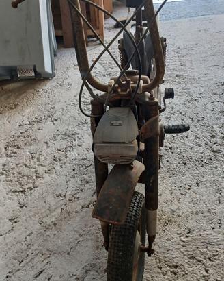 motorino benelli