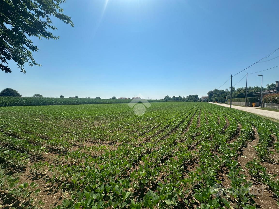 TERRENO A LORIA - Vista 3