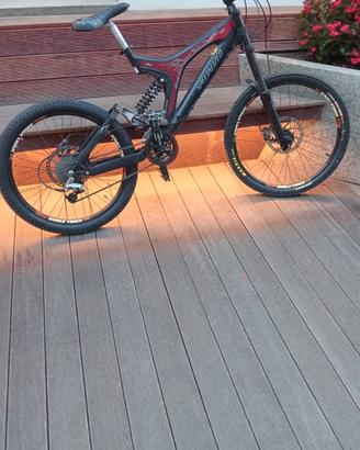 Downhill Specialized 