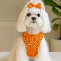 Pettorina cane arancione fluo, con catenelle.