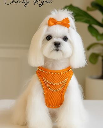 Pettorina cane arancione fluo, con catenelle.